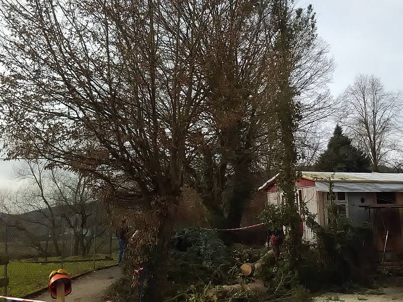 Sanierung der Bauhütte - Klosterkirche Lippoldsberg