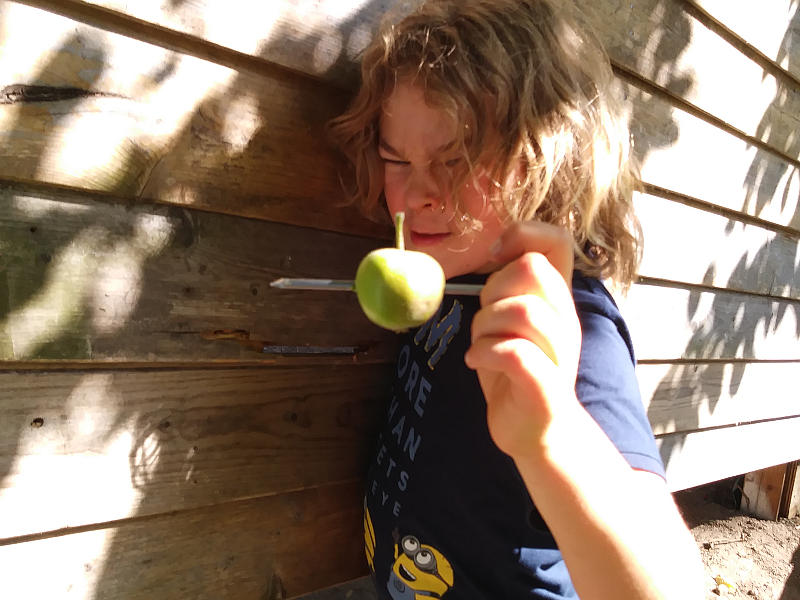 Bauhütte Klosterkirche Lippoldsberg - Offene Holzwerkstatt