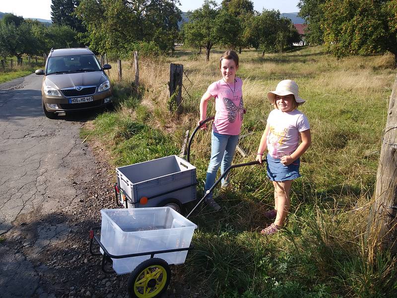 Bauhütte Klosterkirche Lippoldsberg - Apfelsaft Herstellung