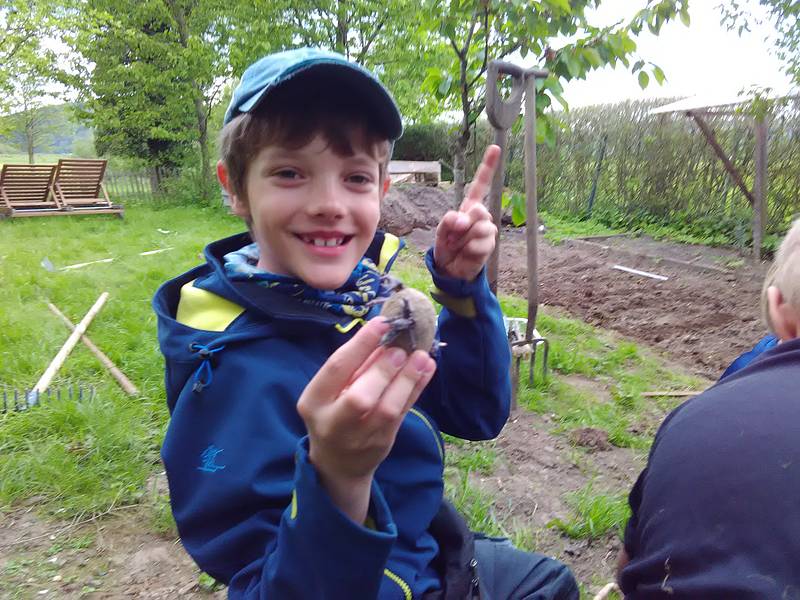 Bauhütte Klosterkirche Lippoldsberg - Offener Garten