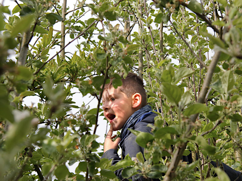 Bauhütte Klosterkirche Lippoldsberg - Flussgottesdienst und Saisonstart